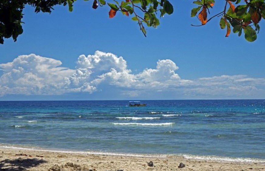 Yucca Garden By The Beach, Alubijid, Misamis Oriental, Philippines, Philippines